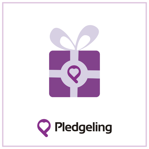 Donation to Pledgeling Environmental Fund